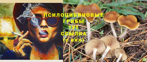 прущий лед Алексеевка