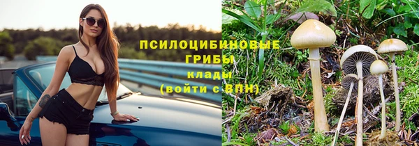 прущий лед Алексеевка