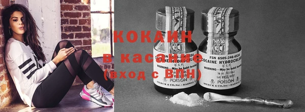 прущие грибы Алексин